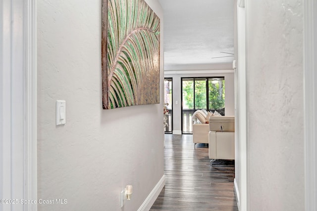 9040 York Ln Unit 16G, West Melbourne, FL 32904 - corridor with baseboards, a textured wall, and wood finished floors