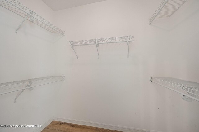 401 Trotter Ln Unit 103, Melbourne, FL 32940 - spacious closet with light wood-type flooring