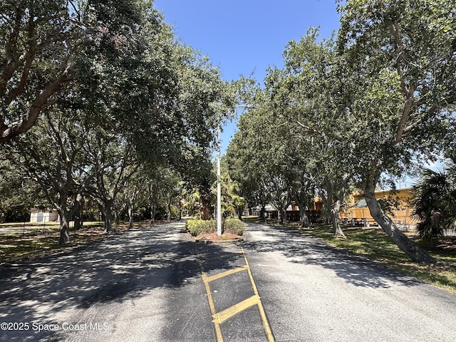 225 Spring Dr Unit 3, Merritt Island, FL 32953 - view of asphalt road