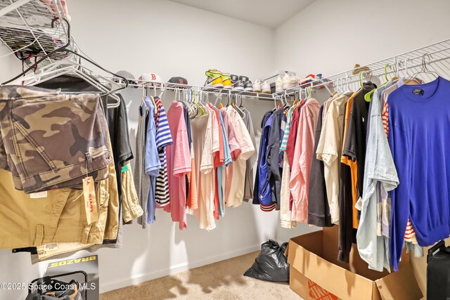 1005 Slocum St NW, Palm Bay, FL 32907 - walk in closet with carpet flooring