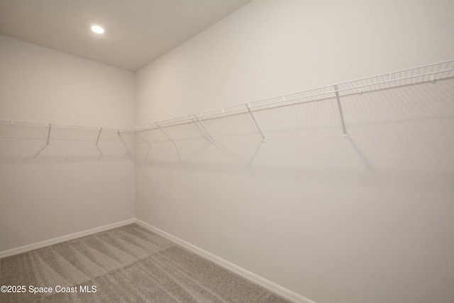 883 Parrotfish St SW, Palm Bay, FL 32908 - walk in closet featuring light carpet