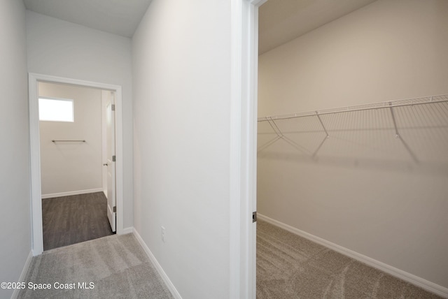 883 Parrotfish St SW, Palm Bay, FL 32908 - hall with carpet flooring and baseboards