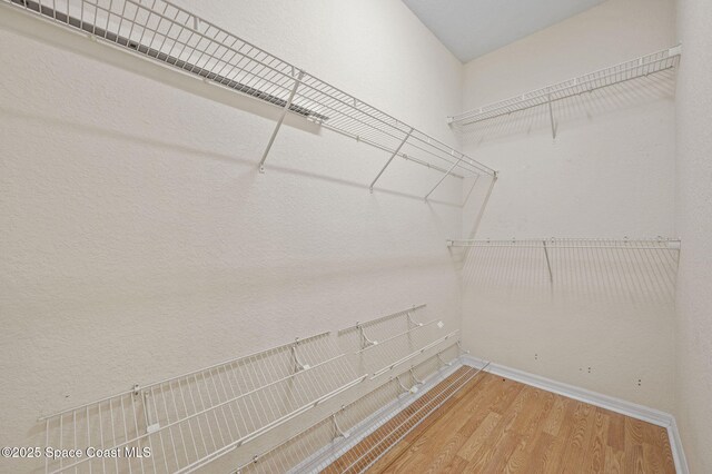 638 Brockton Way W, Melbourne, FL 32904 - walk in closet featuring wood finished floors
