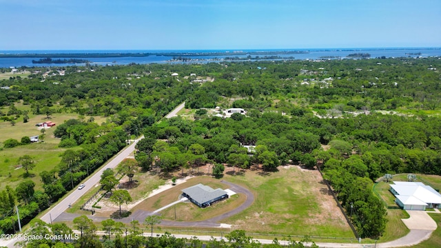 4135 Grant Rd, Grant-Valkaria, FL 32949 - photo 10