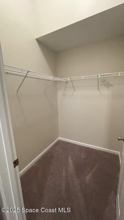 975 Luminary Cir Unit 103, Melbourne, FL 32901 - spacious closet with dark carpet