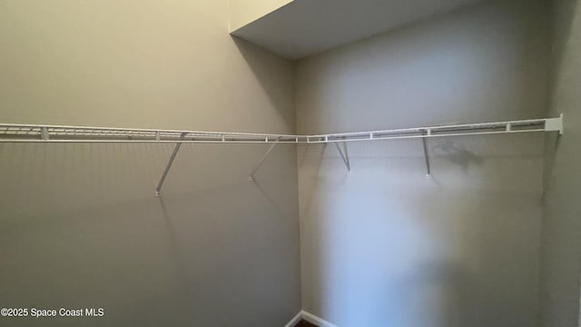 975 Luminary Cir Unit 103, Melbourne, FL 32901 - view of spacious closet