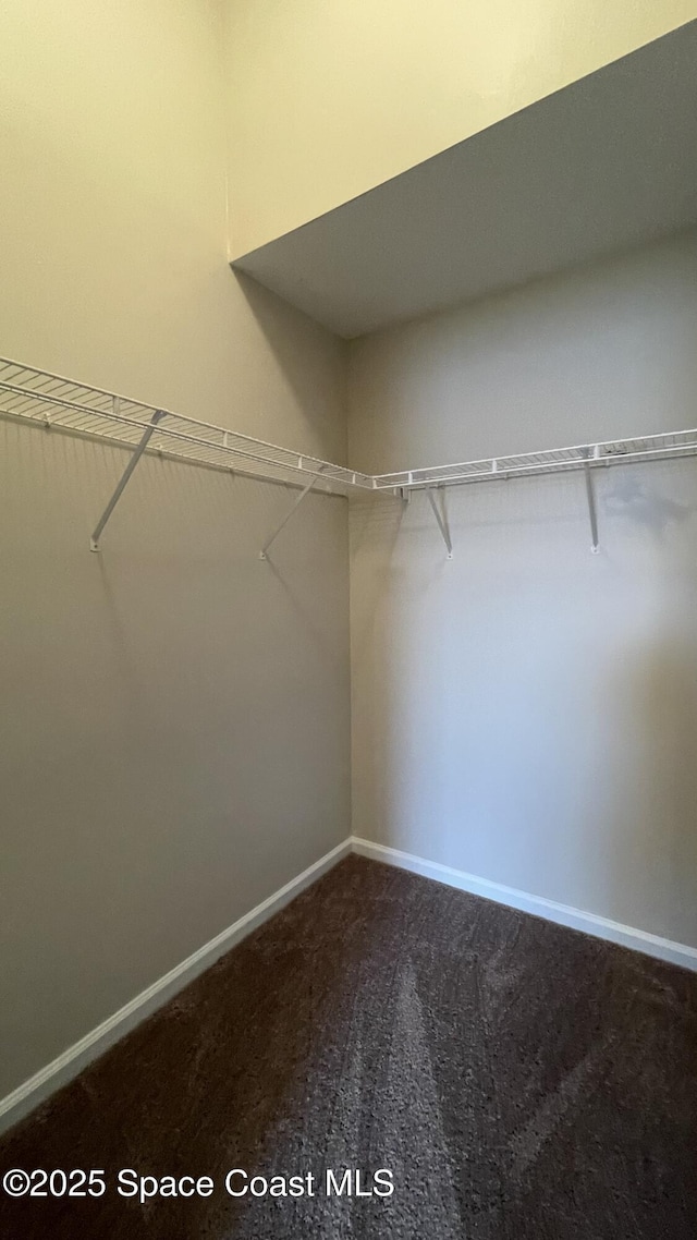 975 Luminary Cir Unit 103, Melbourne, FL 32901 - spacious closet featuring dark carpet