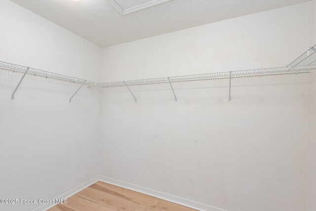 2703 Barrow Dr, Merritt Island, FL 32952 - spacious closet featuring light wood finished floors and attic access