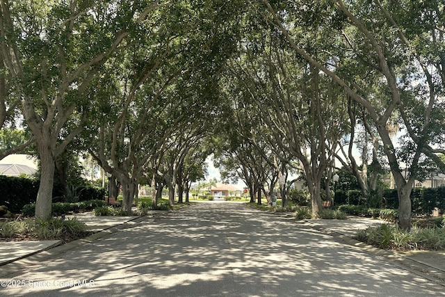 2703 Barrow Dr, Merritt Island, FL 32952 - view of asphalt road with curbs