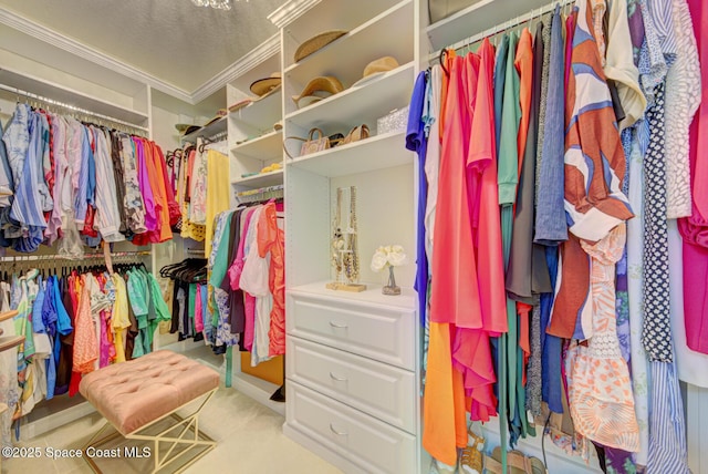 469 Aviation Ave NE, Palm Bay, FL 32907 - view of spacious closet