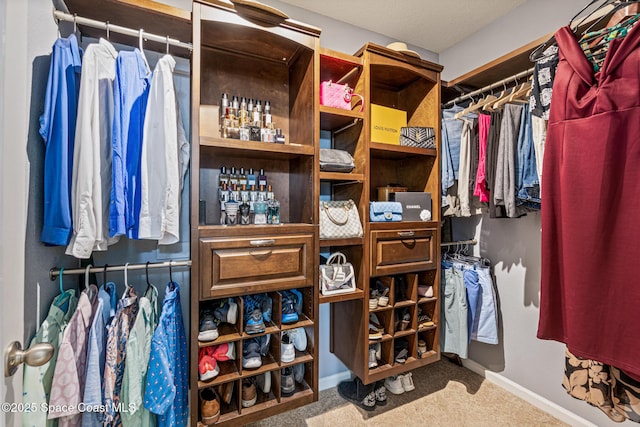 681 Dillard Dr SE, Palm Bay, FL 32909 - walk in closet with carpet flooring