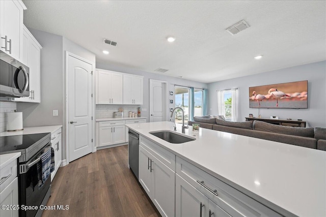1160 Larkspur St SE, Palm Bay, FL 32909 - kitchen featuring a sink, appliances with stainless steel finishes, open floor plan, dark wood-type flooring, and light countertops