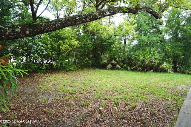 7001 Windover Way, Titusville, FL 32780 - view of yard