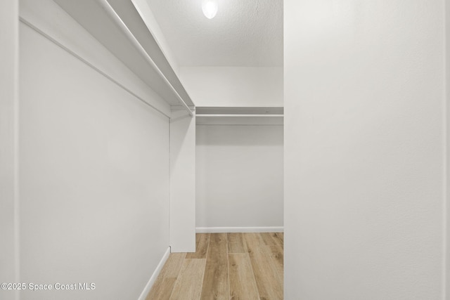 2036 Hogan Dr, Melbourne, FL 32935 - walk in closet featuring light wood-style flooring