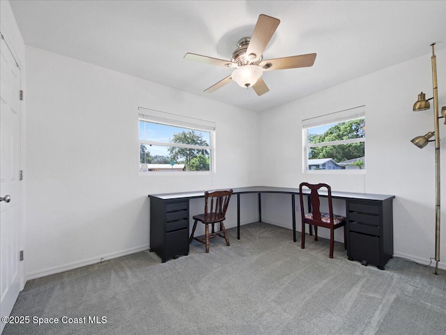 1144 Carol Ave, Titusville, FL 32780 - photo 17