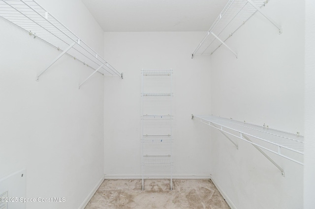 3220 Lowry Blvd SE, Palm Bay, FL 32909 - walk in closet with light carpet