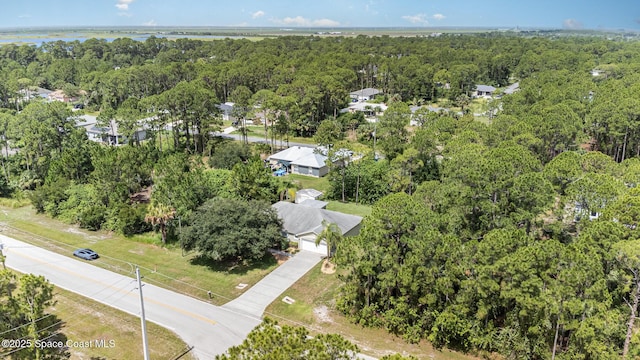 3220 Lowry Blvd SE, Palm Bay, FL 32909 - bird's eye view of a forest