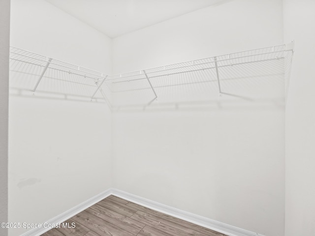 999 Zambrana St SE, Palm Bay, FL 32909 - walk in closet with light wood-style floors