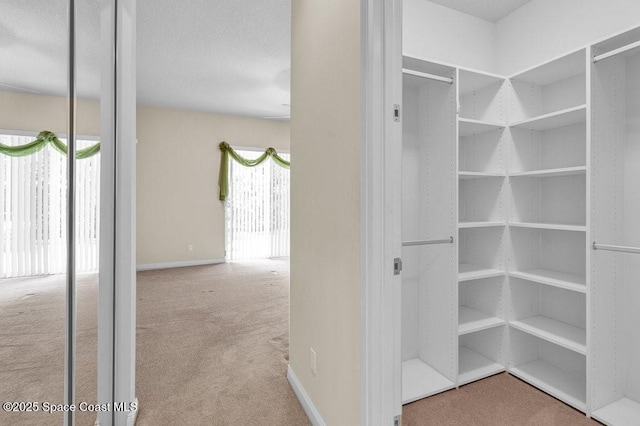 5209 Eleuthra Cir, Vero Beach, FL 32967 - view of storage area