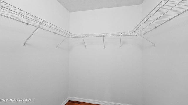 525 Banana Blvd, Merritt Island, FL 32952 - spacious closet featuring wood finished floors