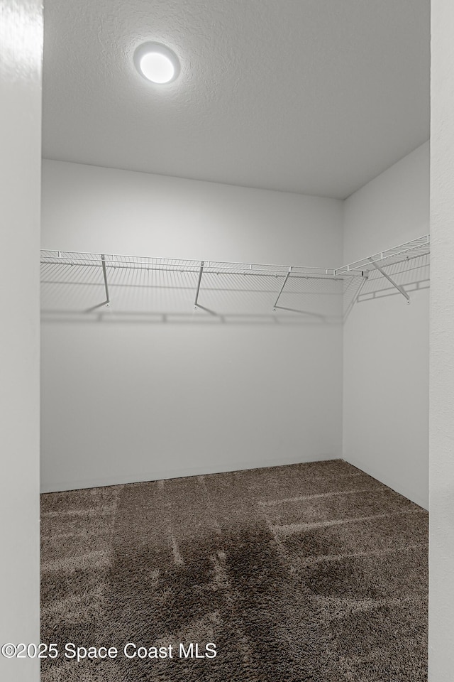 2205 Sapelo Ave SE, Palm Bay, FL 32909 - walk in closet featuring carpet flooring
