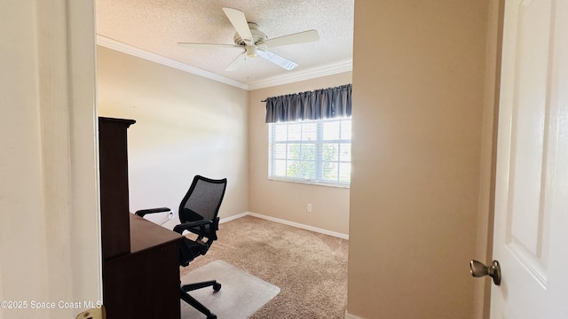 803 Crossbow Dr, West Melbourne, FL 32904 - home office featuring ceiling fan, carpet floors, a textured ceiling, ornamental molding, and baseboards