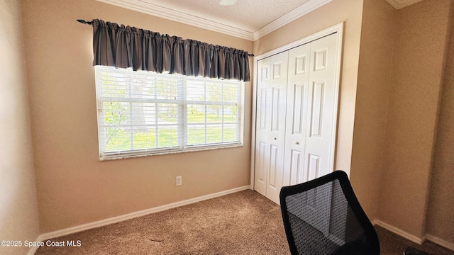 803 Crossbow Dr, West Melbourne, FL 32904 - bedroom with ornamental molding, carpet floors, a closet, and baseboards
