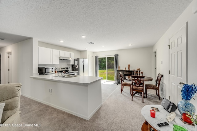 499 Grenadier Ave NW, Palm Bay, FL 32907 - kitchen featuring under cabinet range hood, stainless steel appliances, light carpet, light countertops, and a peninsula