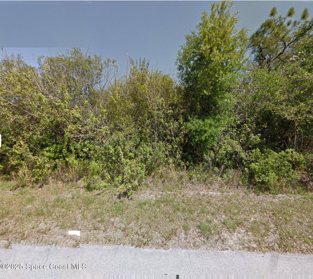 2811 Digby Rd SE, Palm Bay, FL 32909 - photo 2