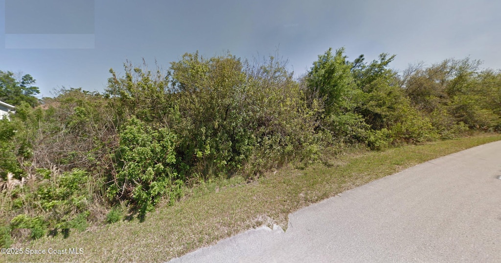 2811 Digby Rd SE, Palm Bay, FL 32909 - photo 1