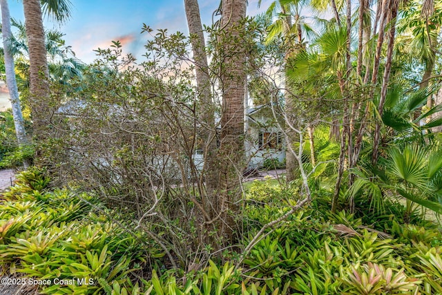 4185 Crooked Mile Rd, Merritt Island, FL 32952 - view of nature