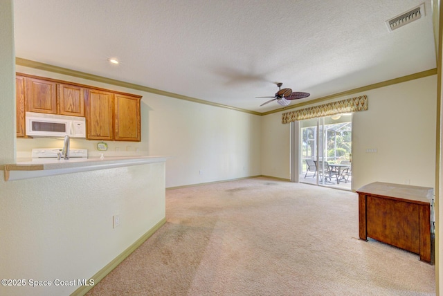 858 Morning Cove Cir SE, Palm Bay, FL 32909 - unfurnished living room featuring ornamental molding, light carpet, ceiling fan, baseboards, and a textured ceiling