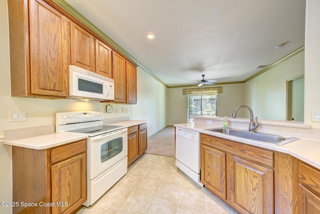 858 Morning Cove Cir SE, Palm Bay, FL 32909 - kitchen with white appliances, ornamental molding, a sink, a ceiling fan, and light countertops