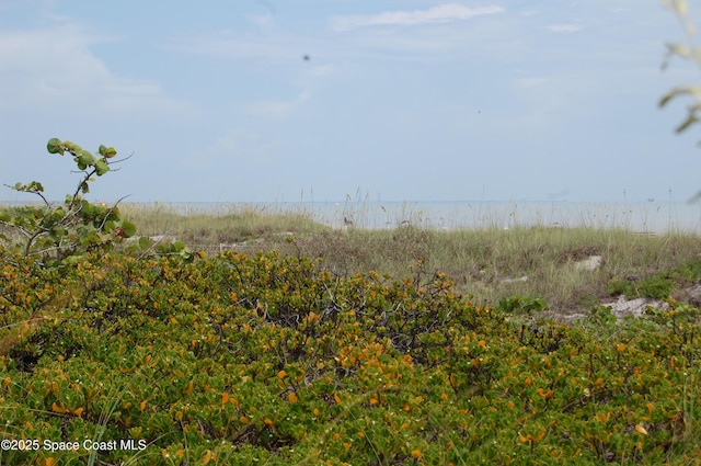 2020 N Atlantic Ave Unit 508-N, Cocoa Beach, FL 32931 - view of nature