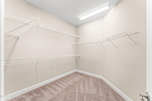 3387 Caviston Way, Melbourne, FL 32940 - walk in closet with carpet floors