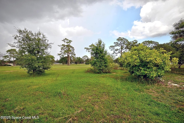 1387 Gleneagles Ct, Rockledge, FL 32955 - view of local wilderness