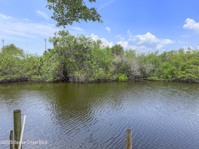 1395 Angler St, Merritt Island, FL 32952 - water view