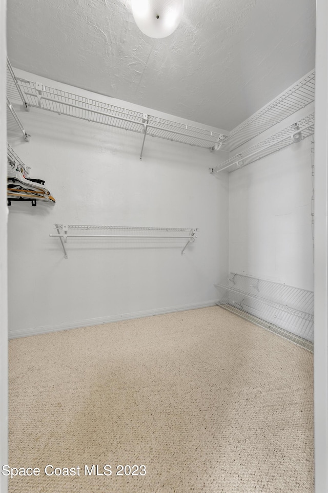 105 Osprey Ct, Melbourne, FL 32940 - view of walk in closet