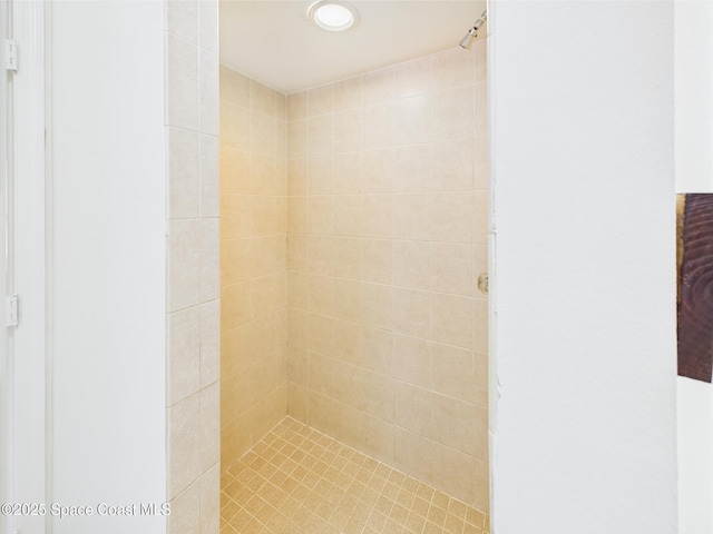 187 S Wimbrow Dr, Sebastian, FL 32958 - full bath featuring a tile shower