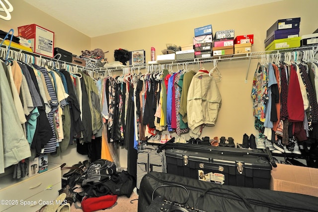 1403 Musgrass Cir, West Melbourne, FL 32904 - spacious closet featuring carpet