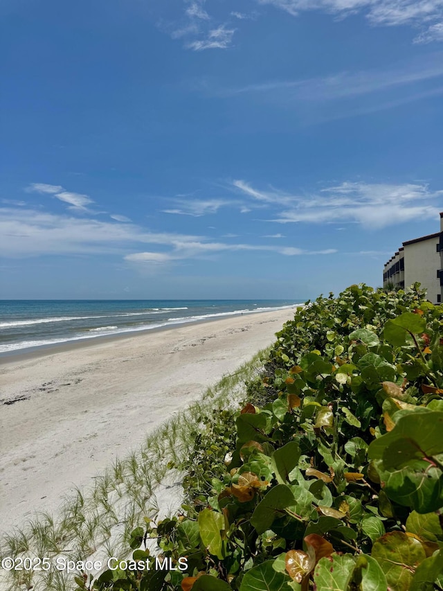 3209 River Villa Way, Melbourne Beach, FL 32951 - photo 27
