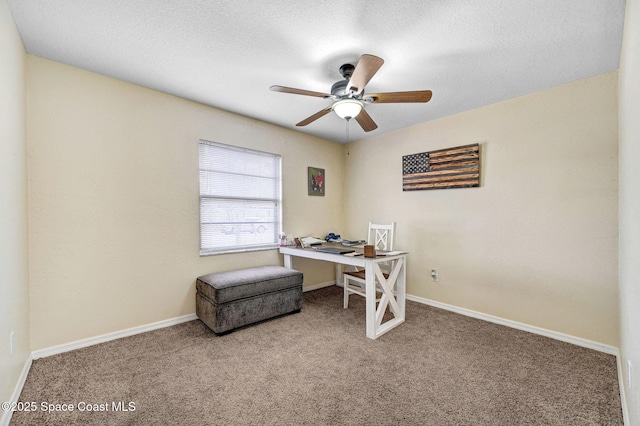 946 Stage St SE, Palm Bay, FL 32909 - carpeted office space with ceiling fan, baseboards, and a textured ceiling