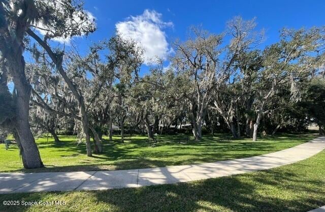 762 Clancy Ave NE, Palm Bay, FL 32905 - surrounding community with a lawn