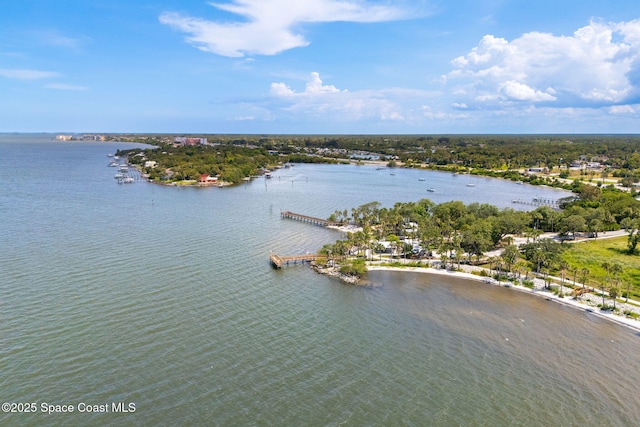 2915 Kirkland Rd NE, Palm Bay, FL 32905 - bird's eye view of a large body of water
