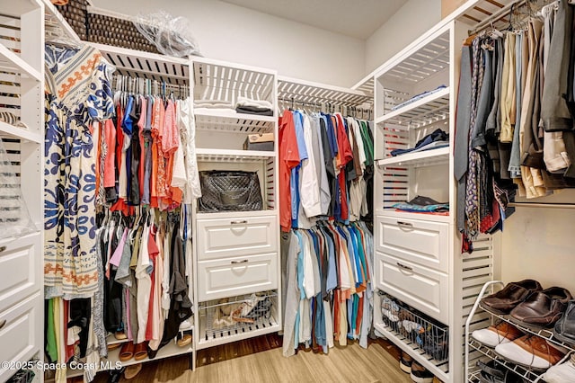 2365 Roygaris St NW, Palm Bay, FL 32907 - walk in closet featuring wood finished floors