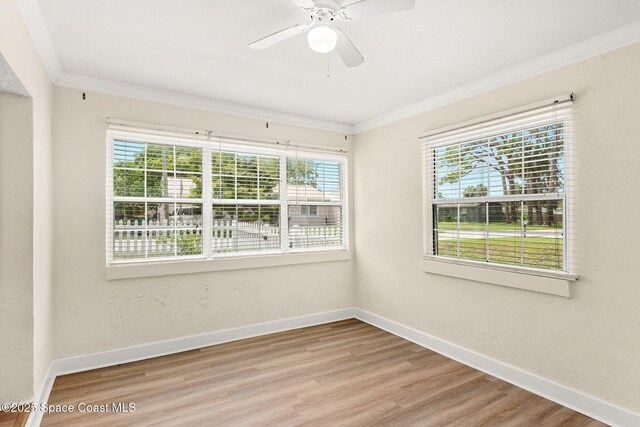1254 Lynne Dr, Merritt Island, FL 32952 - photo 17