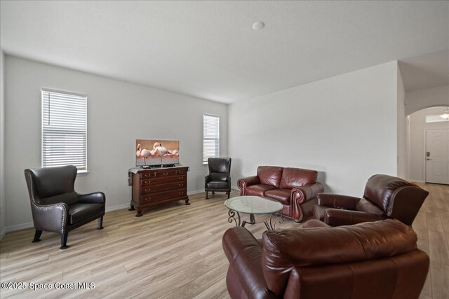 8342 Laguna Cir, Micco, FL 32976 - living area featuring arched walkways, light wood-style floors, and baseboards