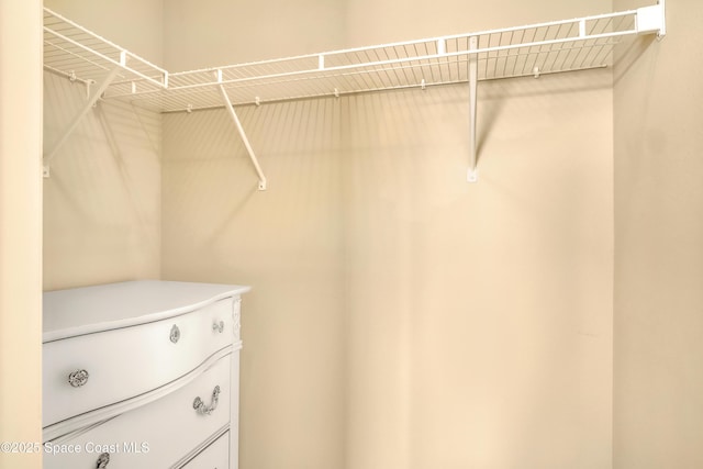 681 Ventura Dr, Satellite Beach, FL 32937 - view of spacious closet