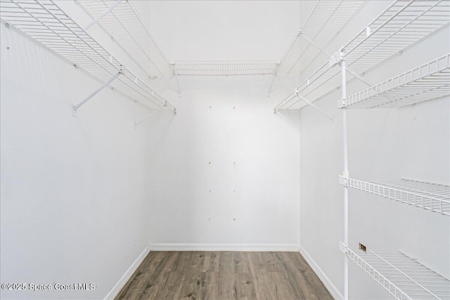 817 Seven Gables Cir SE, Palm Bay, FL 32909 - spacious closet with wood finished floors