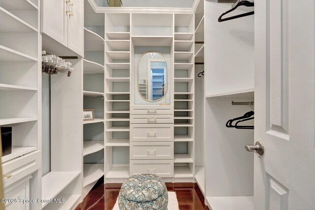 105 38th Ct, Vero Beach, FL 32968 - spacious closet with dark wood finished floors